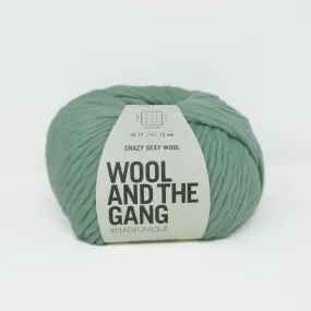 Crazy Sexy Wool - Eucalyptus Green