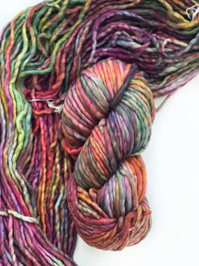 Malabrigo Rasta in Diana